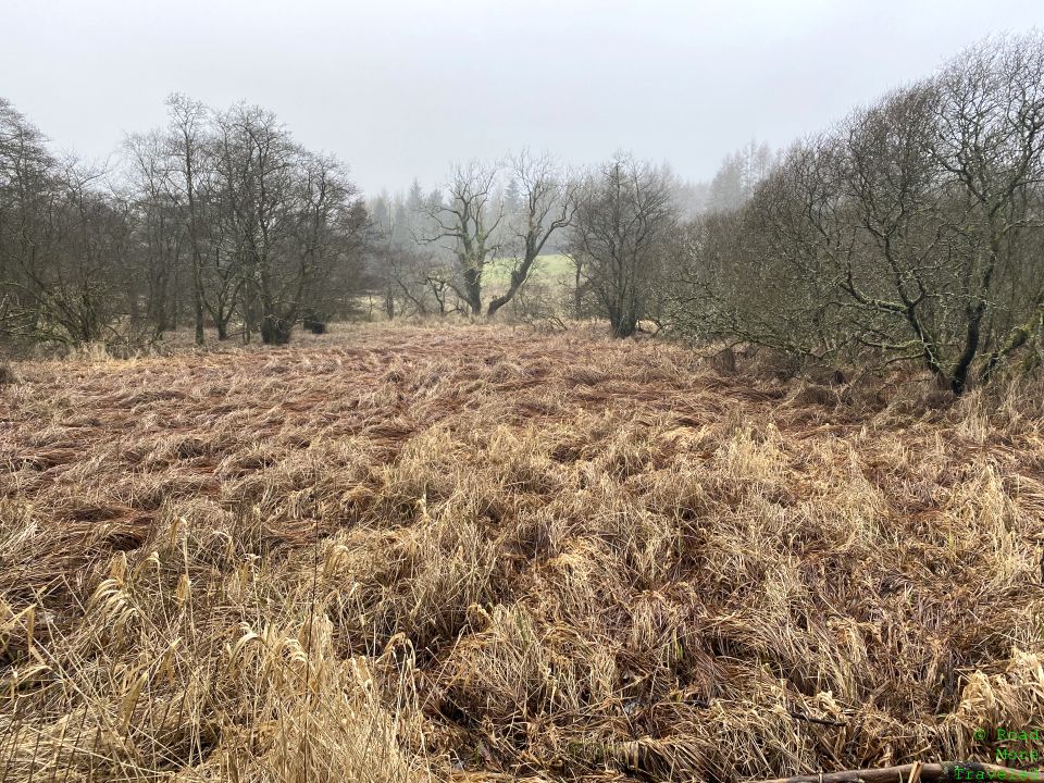 Seven miles of the West Highland Way - Scottish moors north of Milngavie