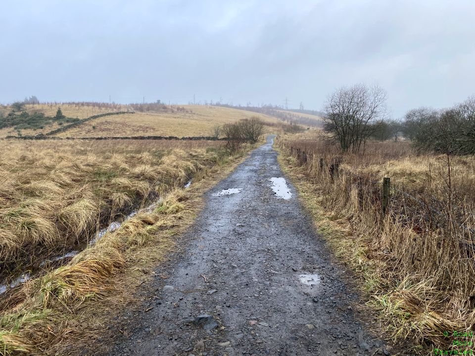 Walking into the Highlands on the West Highland Way