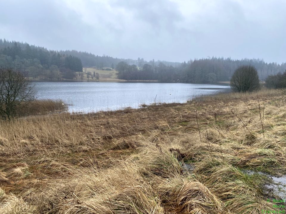 Seven miles of the West Highland Way - Craigallian Loch