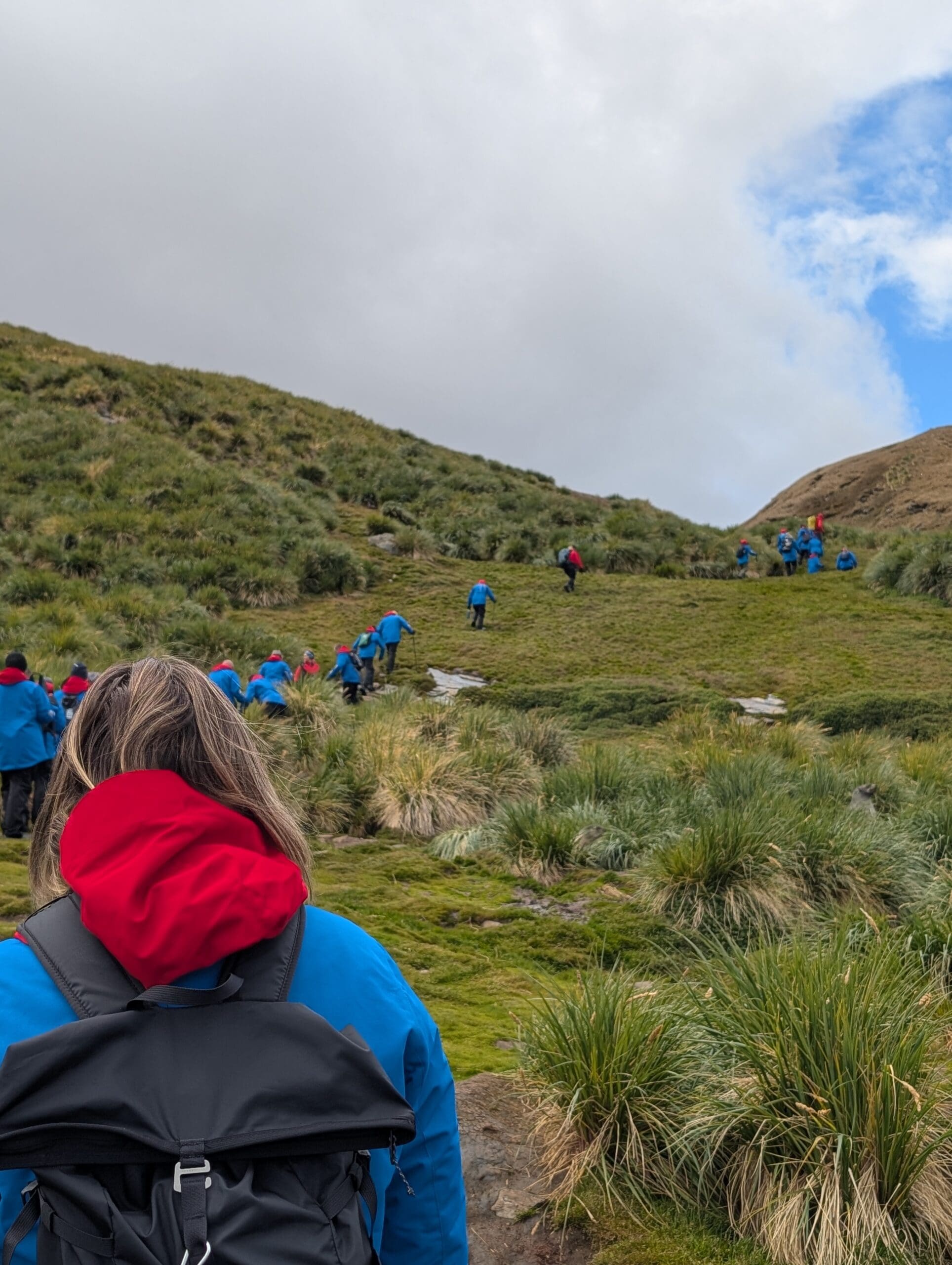 a group of people walking on a hill