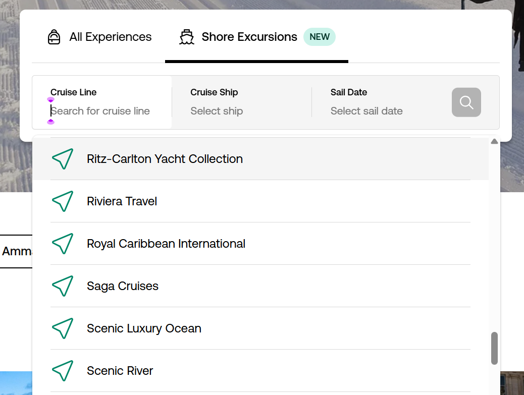 a screenshot of a cruise
