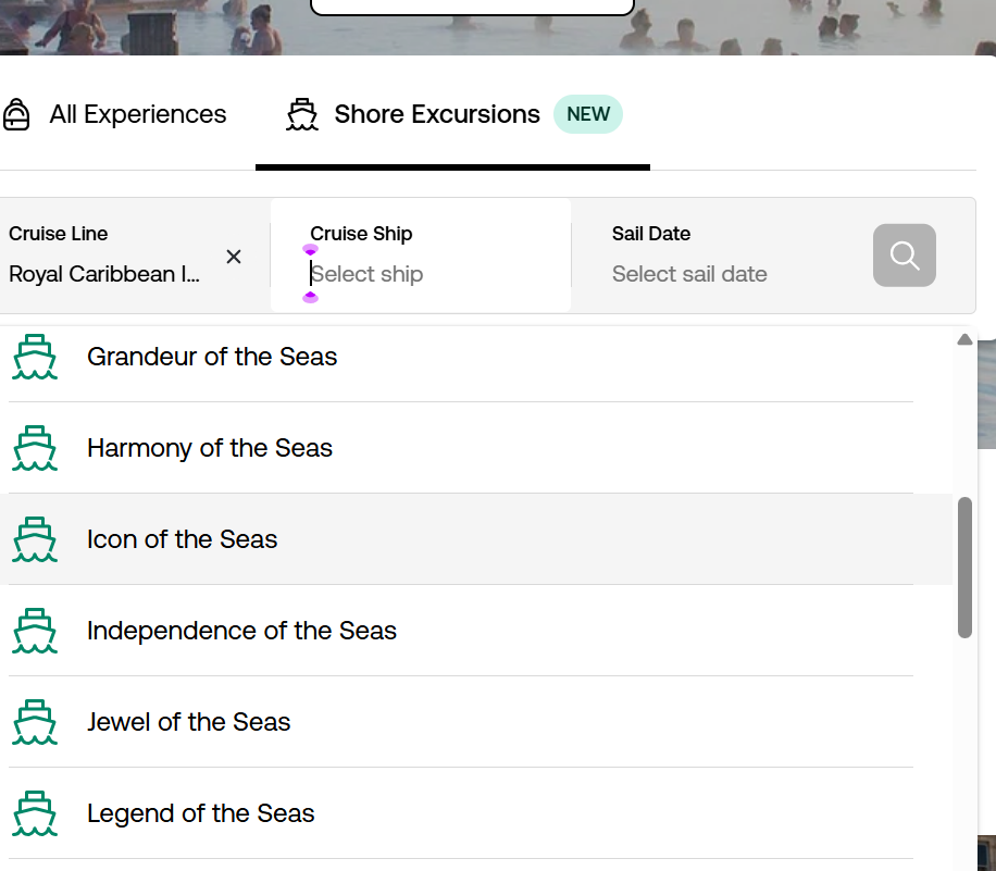 a screenshot of a cruise ship