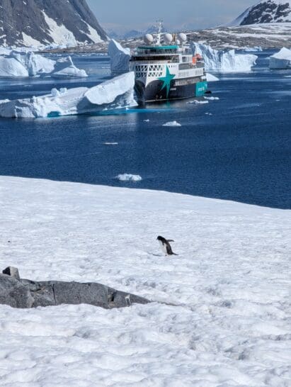 Aurora Expeditions Antarctica Sylvia Earle Review