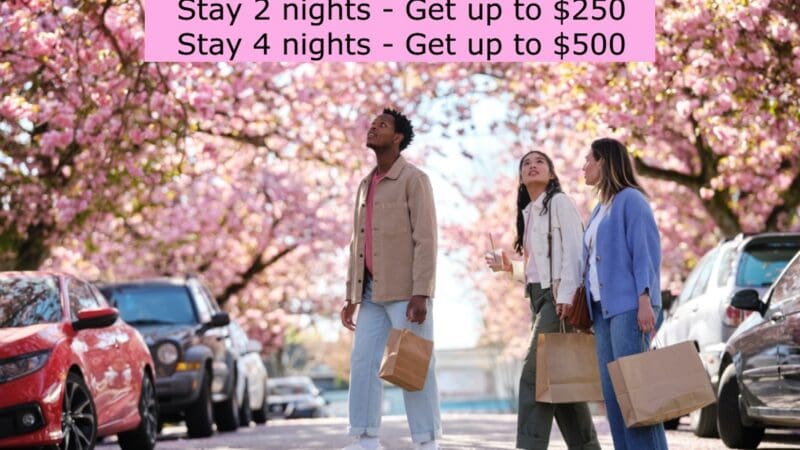 a group of people walking on a street with pink blossoms